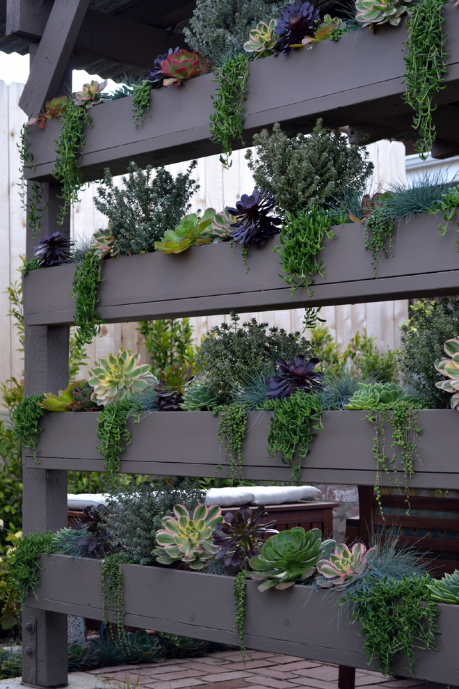 70 Indoor And Outdoor Succulent Garden Ideas  Shelterness
