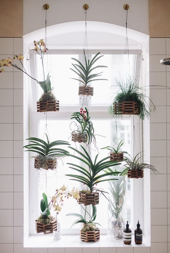 22 Indoor Plant Displays That Won’t Spoil Interiors ...
