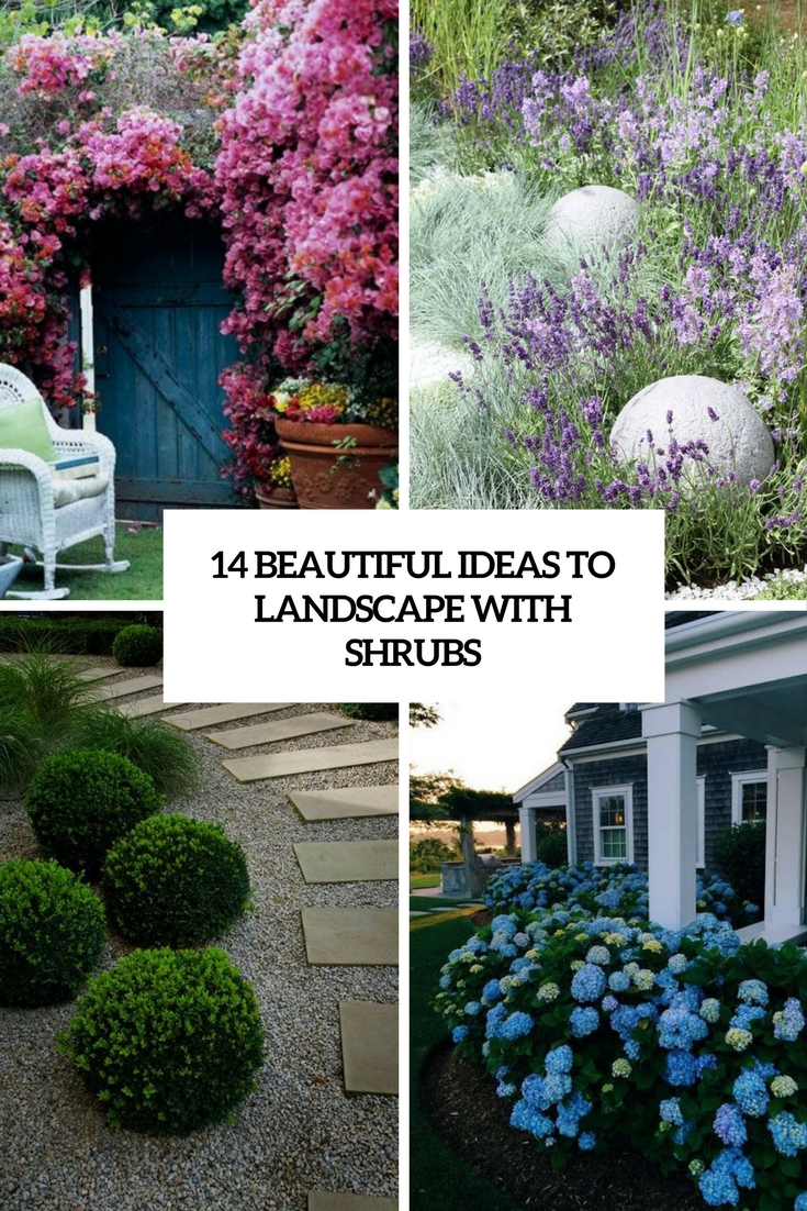 14 Beautiful Ideas To Landscape With Shrubs