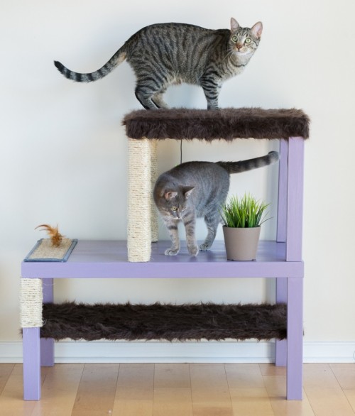 Condomínio impressionante do gato de DIY das tabelas de IKEA