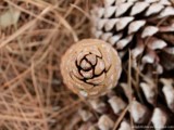 10 Diy Pinecone Wreath For Fall And Winter Decor