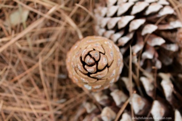 Diy Pinecone Wreath For Fall And Winter Decor