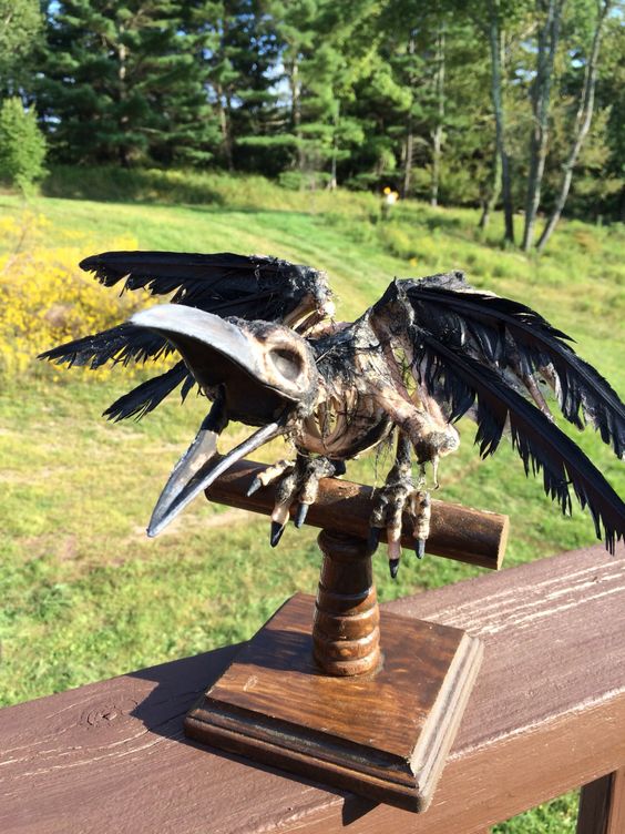 a raven skeleton prop on a rustic wooden perch is a great Halloween decor idea to try