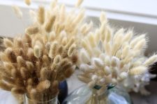 dried bunny tail arrangements in glass vases are a great all-natural decoration for the fall