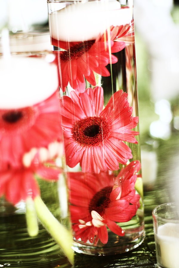 lovely pink submerged flowers in tall vases