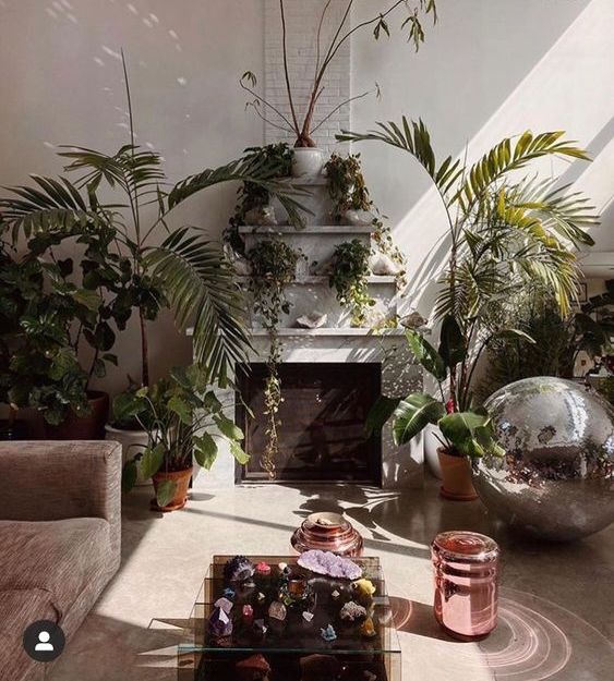 a biophilic living room with a fireplace, lots of ledges with plants and potted plants, a disco ball on the floor as part of decpr