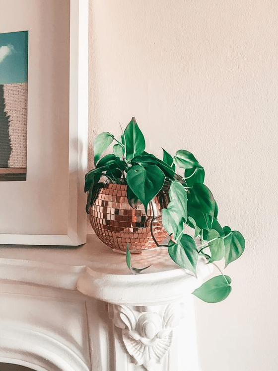 a small and pretty copper disco ball planter with greenery is a cool decoration for any space where you want a bit of fun