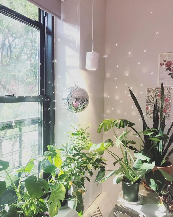 a space filled with potted plants and a disco ball hanging over it to fill the space with lights and fun