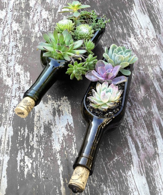 Wine bottles work as containers for a small succulent garden. (via digsdigs)