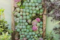An amazing vertical succulent garden example