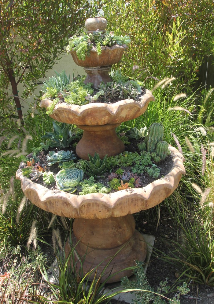 if you fountaint is broken you can turn into a tiered succulent garden