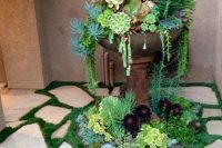 it is quite easy to create beautiful succulent arrangments in old fountains