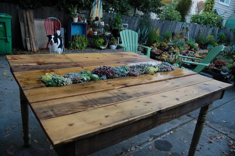 little succulent garden that is mounted right in a diy pallet table