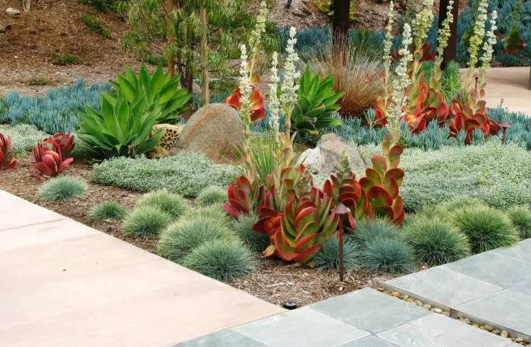 mixing colors is always a good idea in backyard landscapes