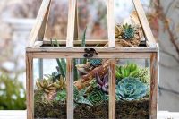 rustic wooden greenhouse is a good container for a small succulent indoor garden