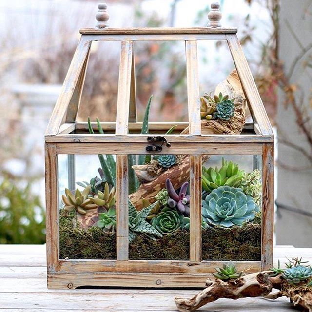 rustic wooden greenhouse is a good container for a small succulent indoor garden