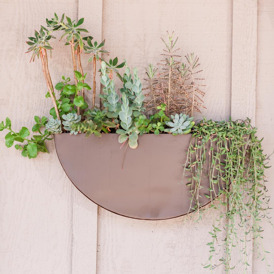 super simple planter could become a real landscape with all these beautiful fat plants