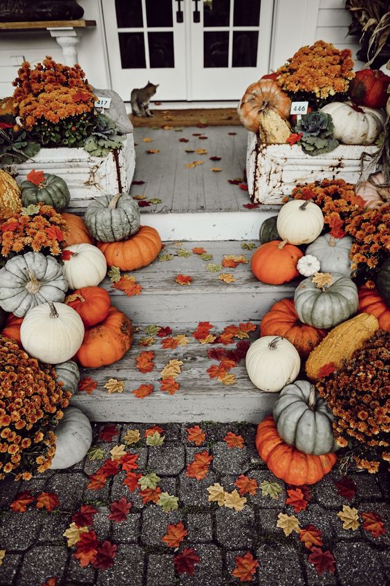 a bright fall porch with natural pumpkins in various colors, fall leaves and blooms is rustic and very welcoming