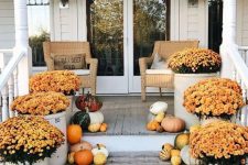 a colorful and natural fall porch with potted orange blooms in pots and natural pumpkins and gourds