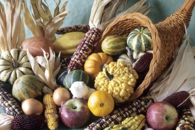 a large cornucopia with gourds, pumpkins, corn and apples is a lovely traditional Thanksgiving centerpiece to rock