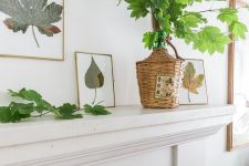 minimalist but very natural Thanksgiving mantel decor with natural leaves in frames, green leaves in a bottle with a woven cover