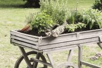 A vintage wagon is an awesome container for a large outdoor herb garden that can be moved.