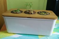 Windowsil hydroponic herb garden is also possible.