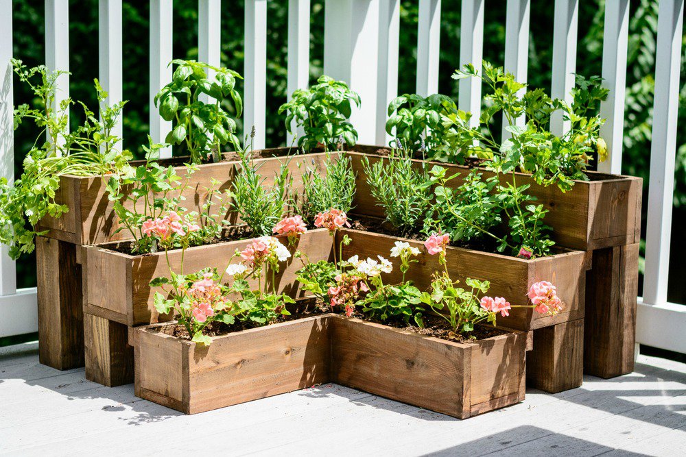 You can create a medicinal herb garden on your patio and it'd be not only practical but also beautiful.