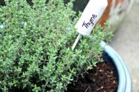 Every herb garden should feature markers. They won’t let you forget your herbs and could become nice decorations for dull planters. As always – you can DIY them!