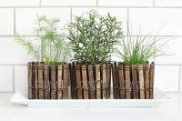 DIY Clothespin planters works well for a window sil herb garden.