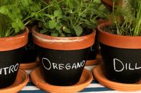 Chalkboard planters works even better than garden markers for a herb garden.