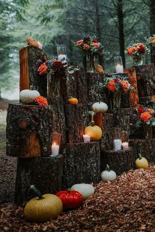 a fall wedding altar of tree stumps, candles and pumpkins plus bright and dark fall blooms wows
