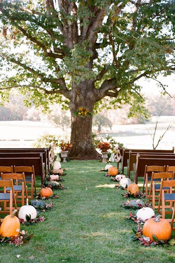 a rustic fall wedding ceremony space done with pumpkins and foliage plus fall blooms in vintage urns