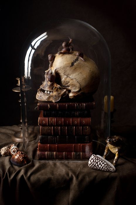 a cloche with a stack of books, a skull and snails is a scary and creative Halloween decor idea