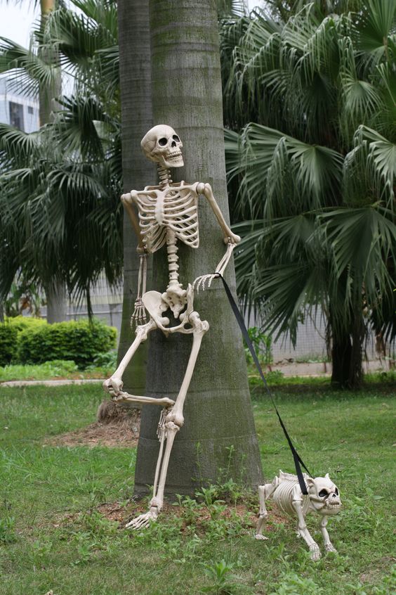 a skeleton walking his skeleton dog is a stylish and timeless outdoor Halloween decor option