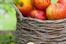 a basket with apples and greenery is a lovely fall decoration in rustic style, make it easily