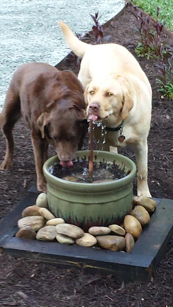 DIY patio pet fountain. It's made of a glazed planter and is perfect for your cats and dogs for summer. (via oilobit)