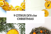 9-citurs-diys-for-christmas-cover