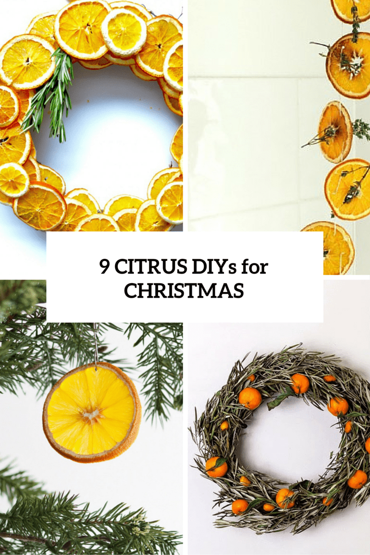 Holiday Fragrances: 9 DIY Citrus Crafts For Christmas