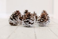 snow covered pinecones