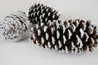faux snowy pinecones