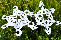 monogram snowflake