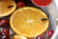 citrus and cranberry potpourri