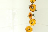 sliced citrus mobile