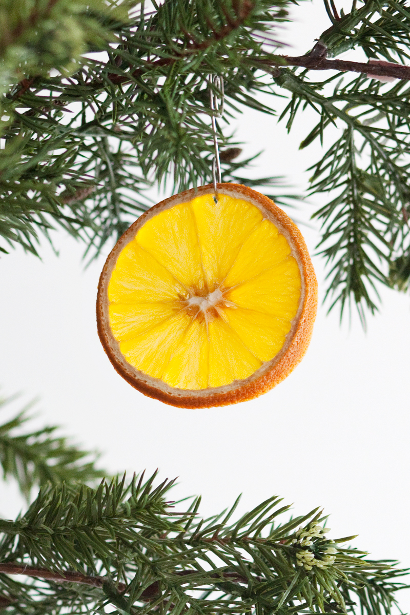citrus ornaments