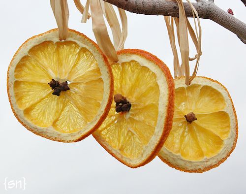 sunny citrus ornaments (via simplynotable)