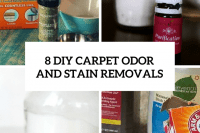8-diy-carpet-odor-and-stain-removals-cover