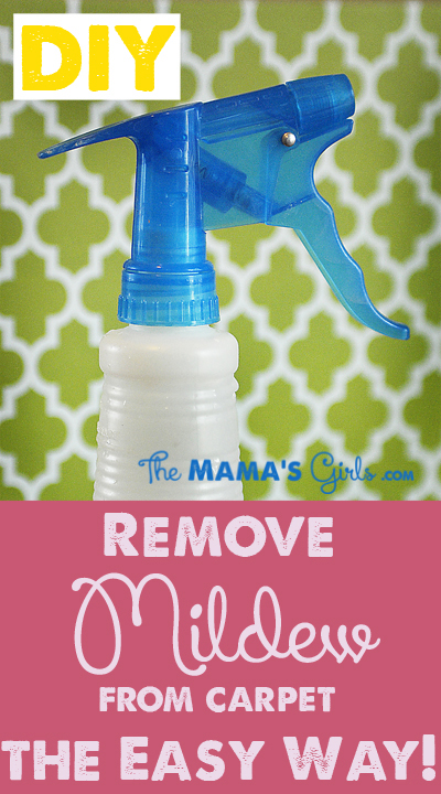 stain removal (via themamasgirls)