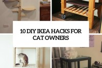 10-diy-ikea-hacks-for-cat-owners-cover