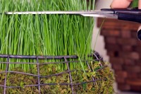 diy-easter-basket-filled-with-real-grass-7